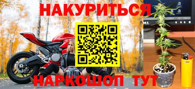 индика Тула
